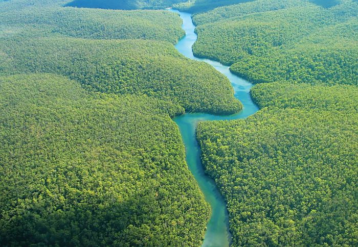 Amazon jungle tributaries from above